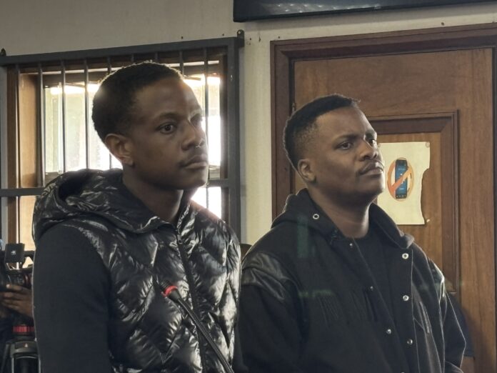 Mugabe son's case postponed again