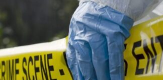 Another North West activist shot dead