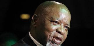 Gwede Mantashe