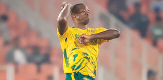 Proteas