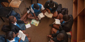 Maile calls for collaboration in curbing violence in Gauteng schools