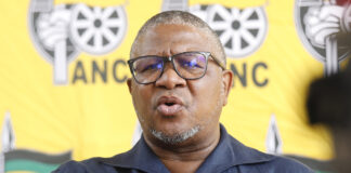 ANC secretary general, Fikile Mbalula gives West Rand a green light to go ahead with the regional conference