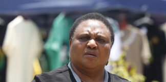 Thoko Didiza