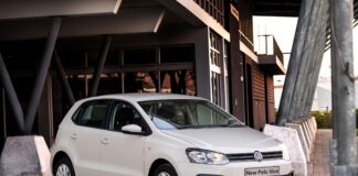 Polo vivo