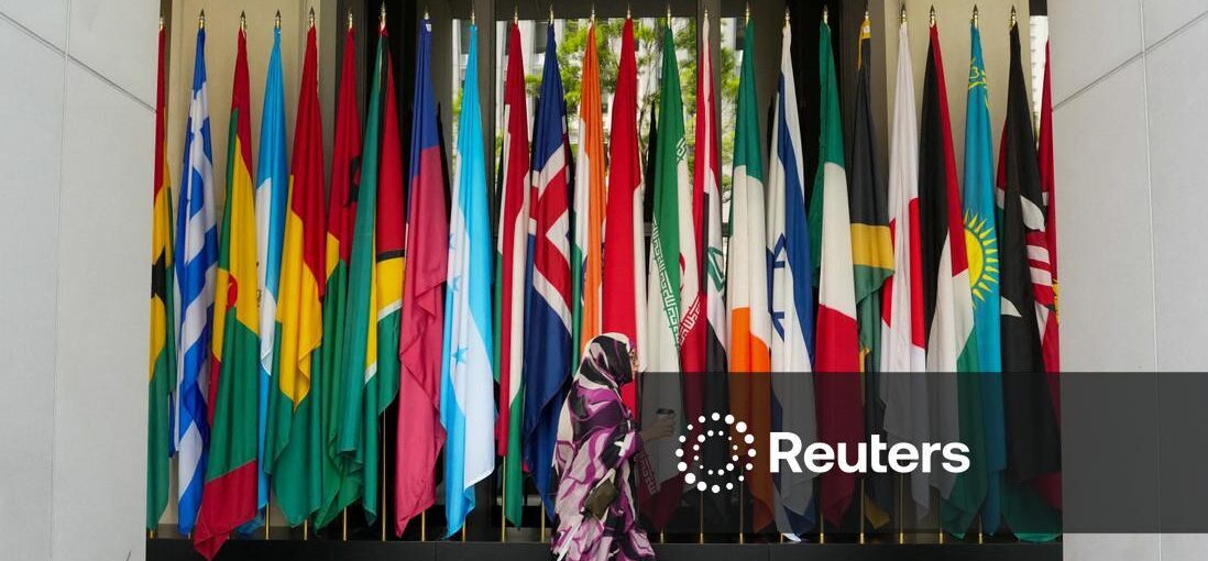 Africa's TDB tightens ownership after 'baby multilateral' dispute