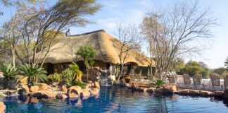 Travel experiences in South Africa