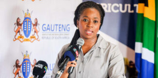 Panyaza Lesufi appoints Rise Mzansi’s Ramokgopa acting Gauteng premier