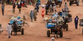Deadly meningitis spreads as Sudanese refugees pack Chad camps, MSF says