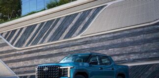 LDV Terron 9