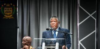 Fikile Mbalula