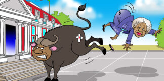 Welcome move on Tolashe, but what about Phala Phala?
