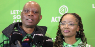 Herman Mashaba: 'I've been eyeing Ayanda Allie since 2025'