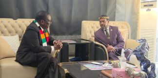 'Rogue elements behind xenophobic attacks', Zulu King tells Emmerson Mnangagwa