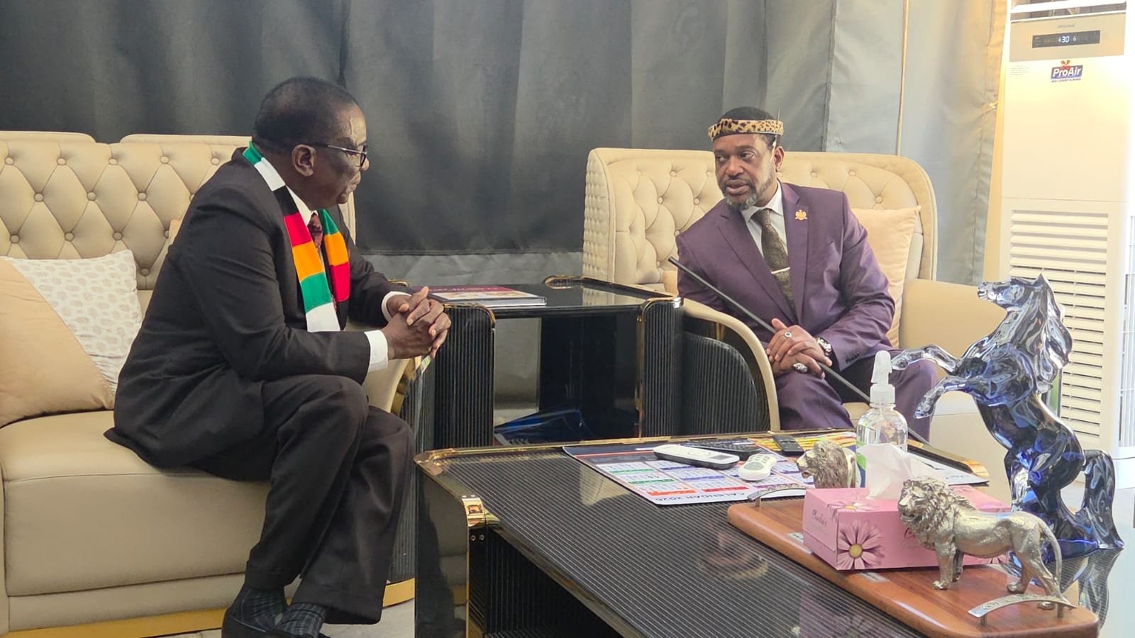 'Rogue elements behind xenophobic attacks', Zulu King tells Emmerson Mnangagwa