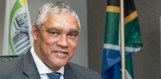 Tshwane tells court Mettler comeback could throw city decisions into chaos