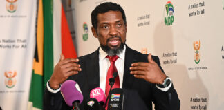 Public Protector steps into feud over Manamela’s alleged overreach