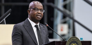 Maloyi, ally must testify before report is released — premier