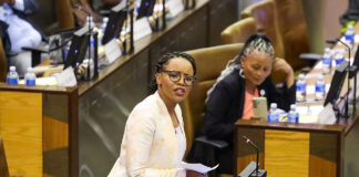 Ayanda Allie at the Gauteng Provincial Legislature during a debate