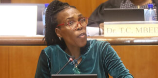 ANC candidate fight sparks violence claims