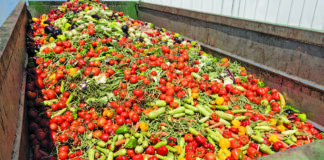 Cold storage key to cutting food waste
