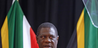 Deputy President Paul Mashatile speaking at the Human Resource Development Council Summit